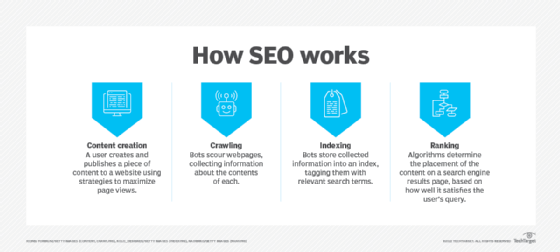 How to Use Search Engine Optimization in Website: Expert Tips - Orbit Ranks